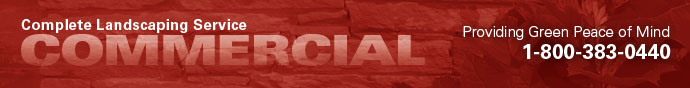 Commercial Services