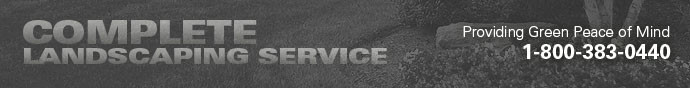 Complete Landscaping Service